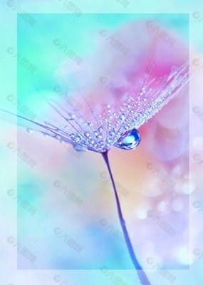 关于我的孤独，虽败犹荣（青春之隐忍）的优美句子