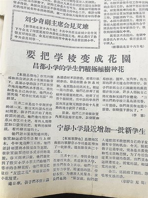 马桶三部曲读后感1000字