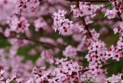 关于就这样吧。姑娘的优美句子