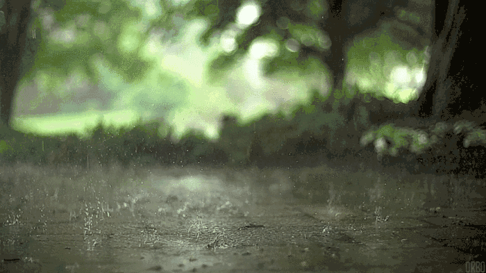 听一场雨落，拾一段锦瑟
