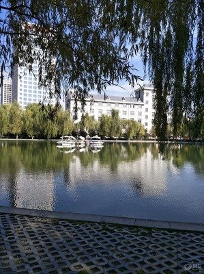 有关无拘无束的美句摘抄