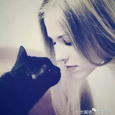 关于随便啦的句子