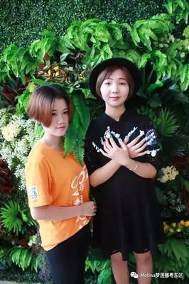 《花若盛开 蝴蝶自来》的句子