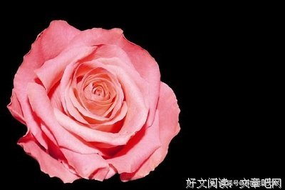 关于那时，今日的句子