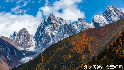 关于谢晓庆的名句