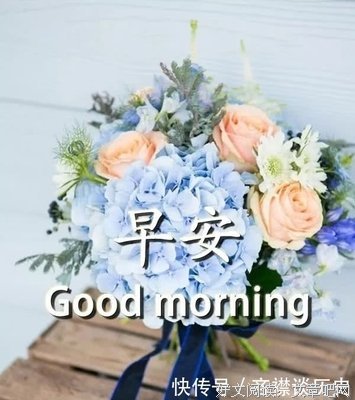 最经典的《破碎的美丽》经典语录