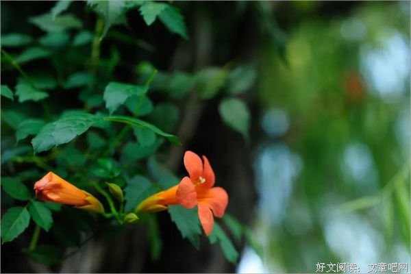 借一场雨，清凉内心