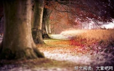 有关不堪回首的美句摘抄
