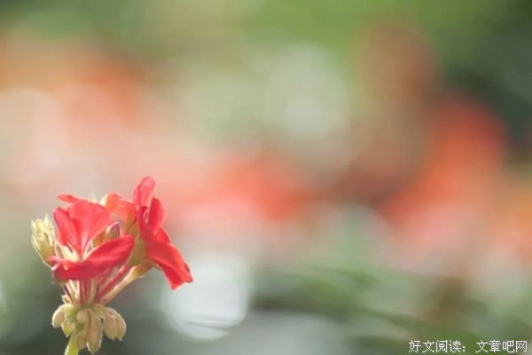 世事忙忙如水流，休将名利挂心头