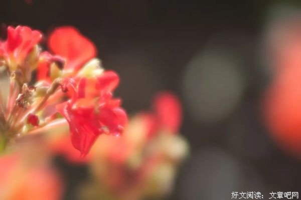 世事忙忙如水流，休将名利挂心头