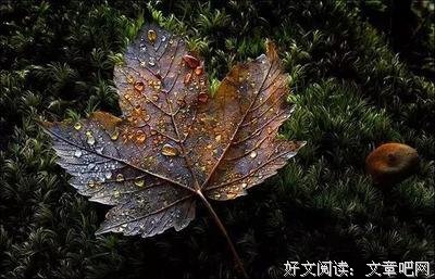 好的句子