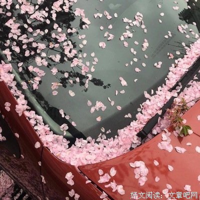 关于时间茱萸的句子