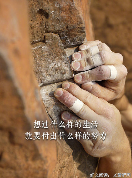 关于清净无为的优美句子