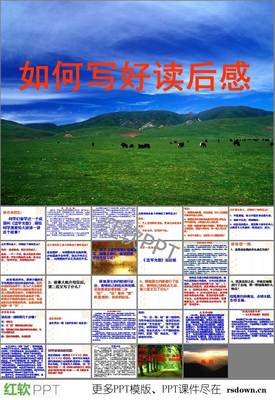 谎言修复师的读后感大全