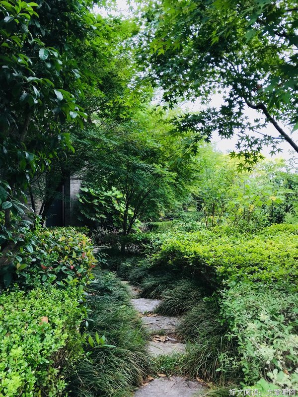 最经典的《禅房花木深》好段摘抄