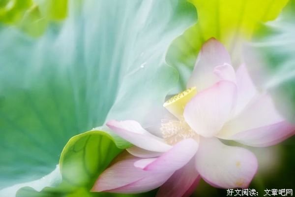 善待生活，就是善待自己