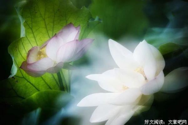 善待生活，就是善待自己