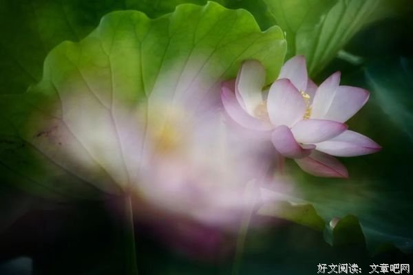 善待生活，就是善待自己