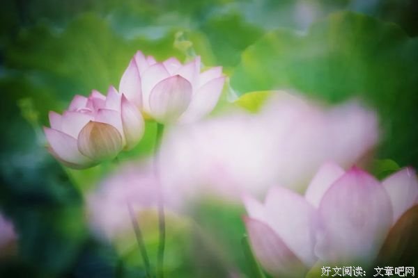 善待生活，就是善待自己