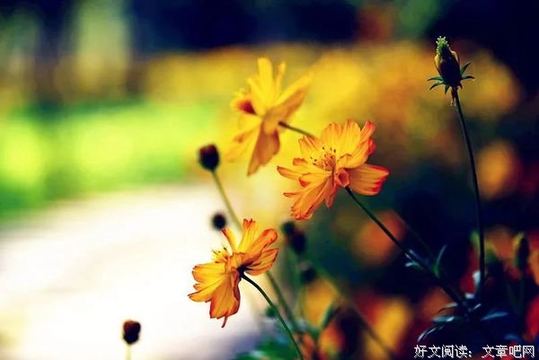 余生很贵，不能荒废