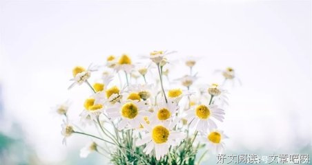 曾经的你，曾经的自己经典的句子