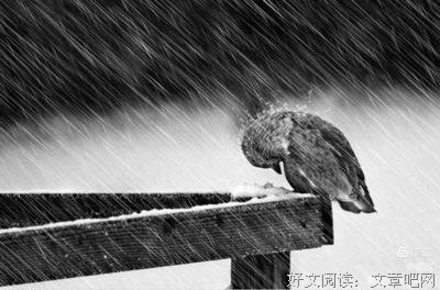 最新的《穆玄英挂帅》经典的句子大全