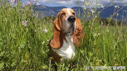 扣人心弦的句子