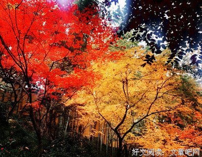 生如逆旅好词好句