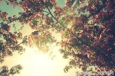 最全的《穷人缺什么》经典句子