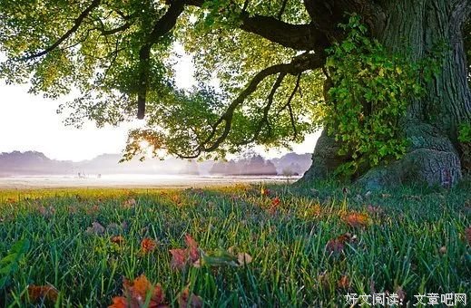 这，就是时光！