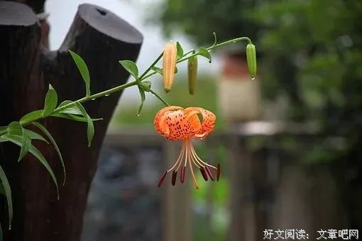 这，就是时光！