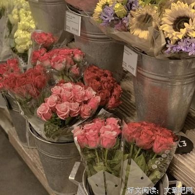 有关沧浪黑的句子