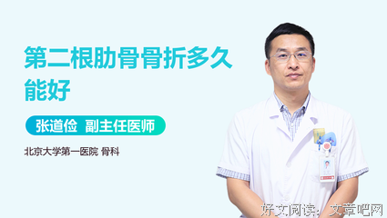 最新的《第二根肋骨》经典名句