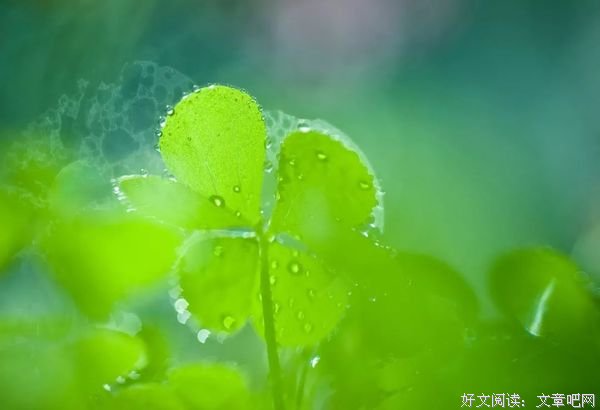 愿所有的深情，都被温柔以待