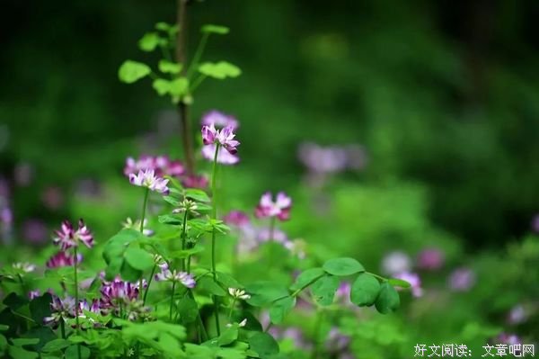 你的长相，就是你心灵的模样（很准！）