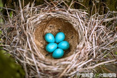 关于放荡不羁的座右铭