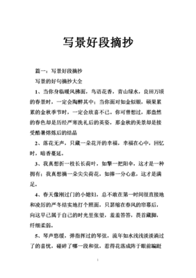 最新的《等一朵花开》好段摘抄