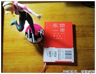 《孤独东京》读后感精选