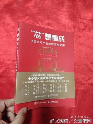 《芯想事成 中国芯片产业的博弈与突围》读后感锦集