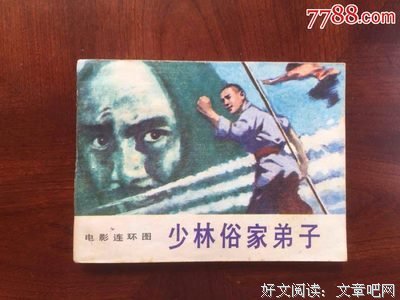 《少林俗家弟子》影评摘抄