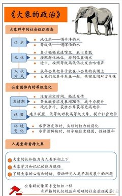 猿猴的把戏读后感摘抄