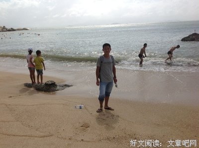 关于石洲洲经典语录