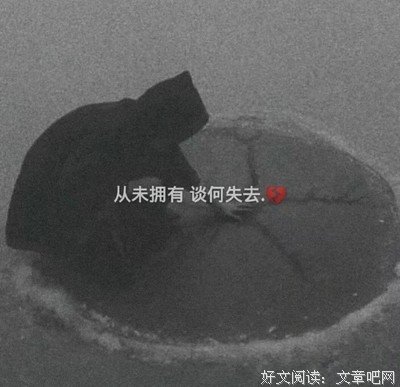关于收藏的句子