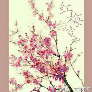 最新的《红梅白雪知》经典名句大全
