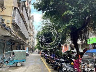 《午夜的柳枝》影评精选