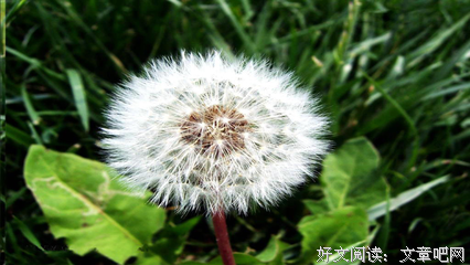 魄力句子
