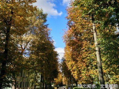 你若成风句子大全