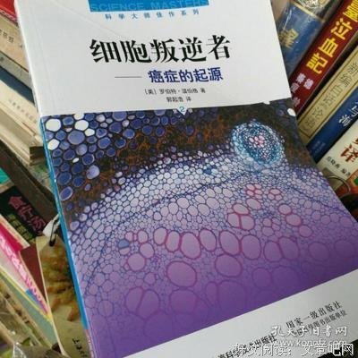 最全的《细胞叛逆者》经典语录
