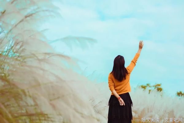 经营自己（此文无价）
