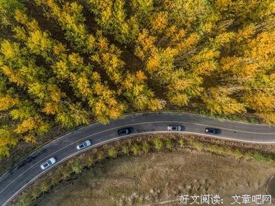 卡尔维诺名句欣赏